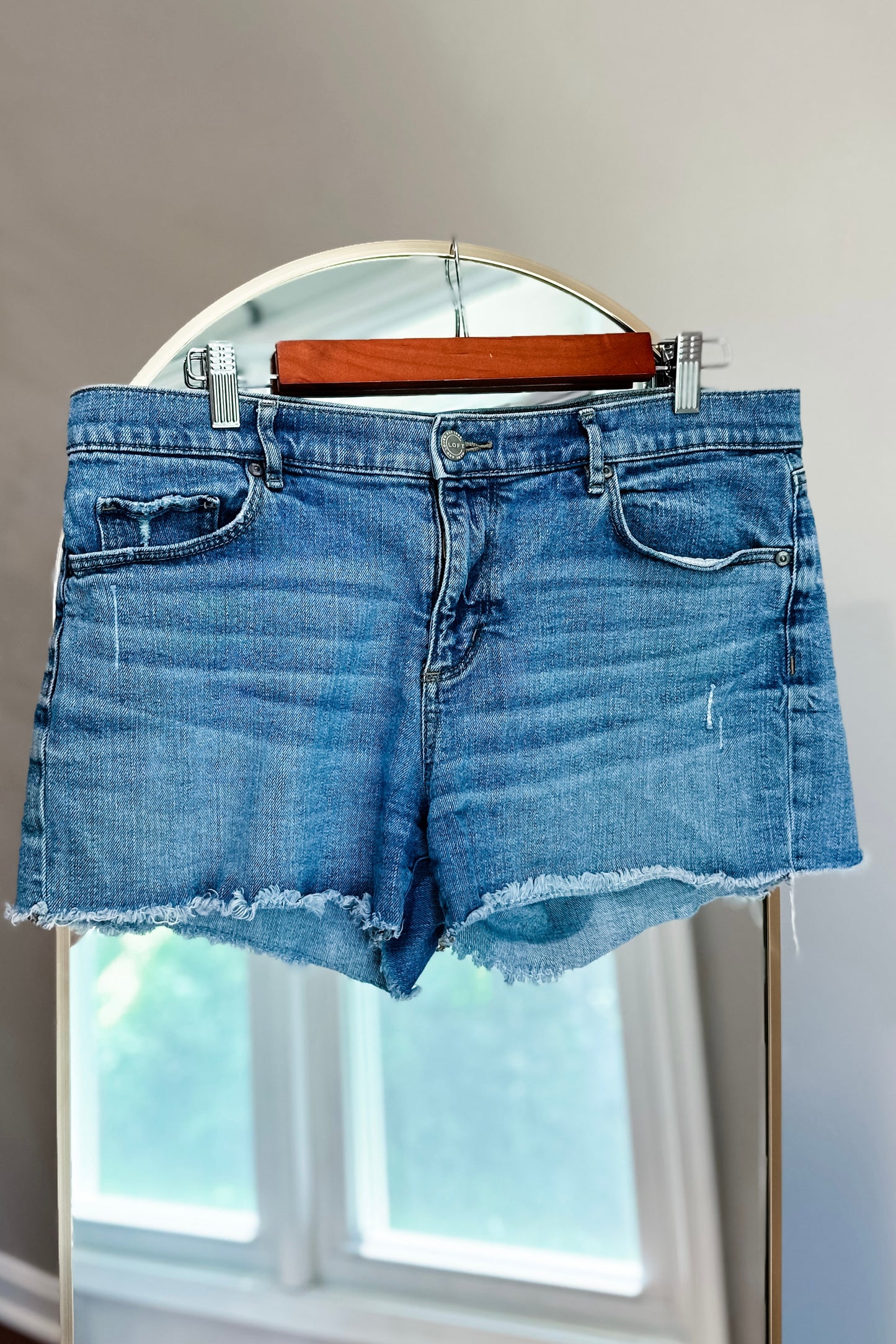 (10) Loft Denim Shorts